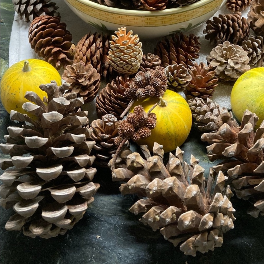 Harvest Apple Scented Pinecones From My Farm Organic Hand Crafted new. - Picture 5 of 13